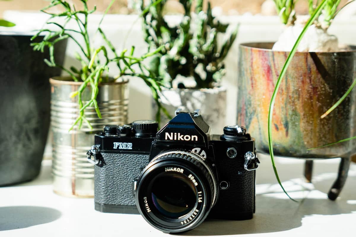 フィルムカメラ」Z世代に刺さるワケ 写真に「味」現像に「やりがい