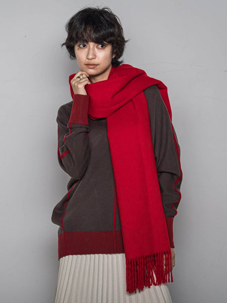 グレイ HISASHI ツアーグッズ ストール 赤 GLAY 30th Anniversary GLAY