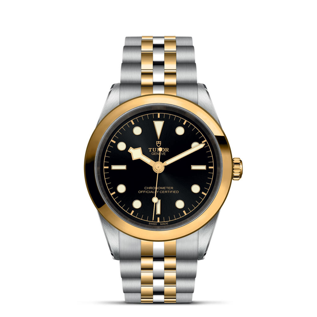 デイト S＆G（M79733N-0008） | BLACK BAY | TUDOR | WATCH