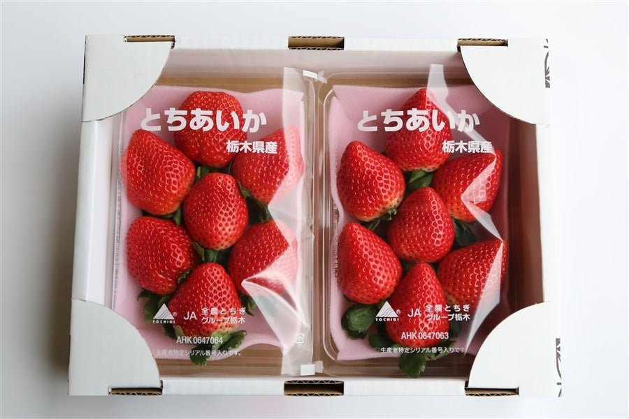 苺 とちあいか（約280g×2パック）栃木県 JAおやま産: とちぎ新鮮倉庫