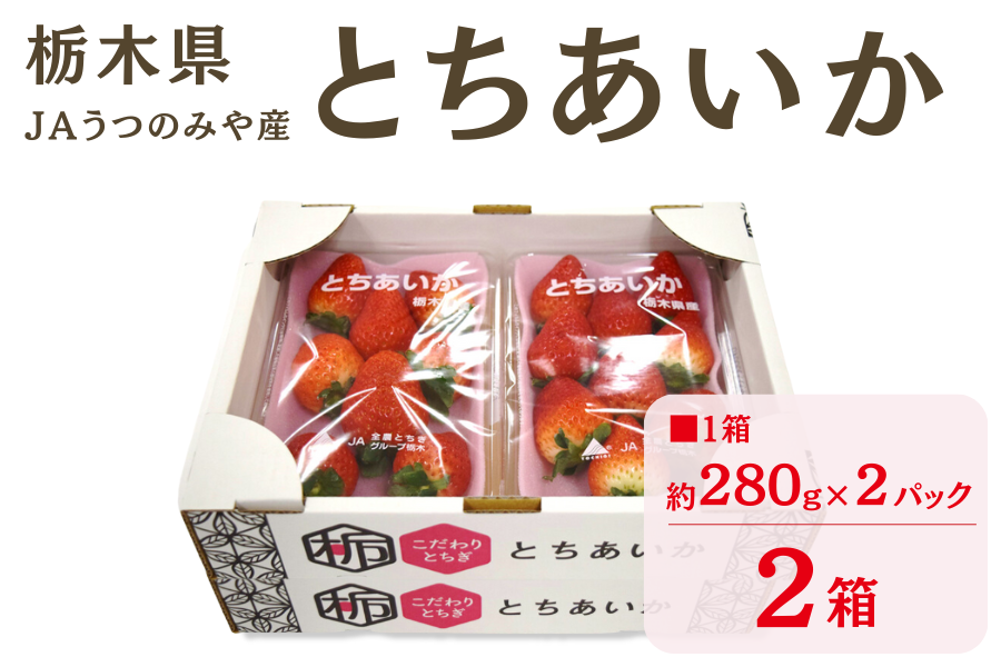 苺 とちあいか（約280g×4パック）栃木県 JAうつのみや産: とちぎ新鮮