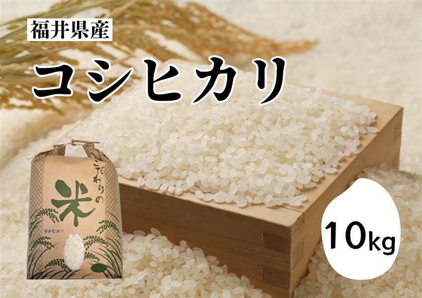 コシヒカリ10Kg＿福井県産＜令和7年産＞: 越前わかさ味浪漫|【JA