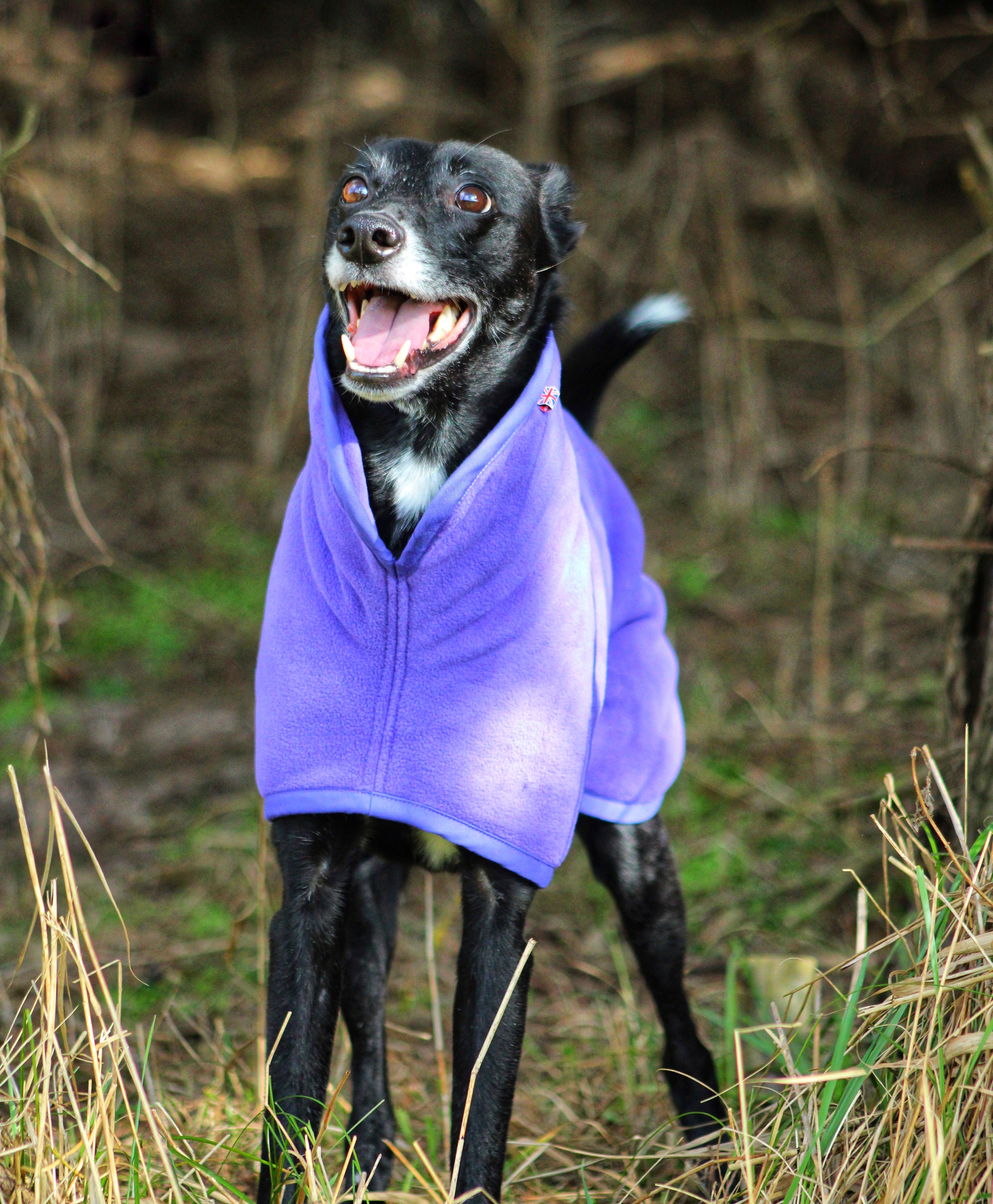 supreme dog jacket black s