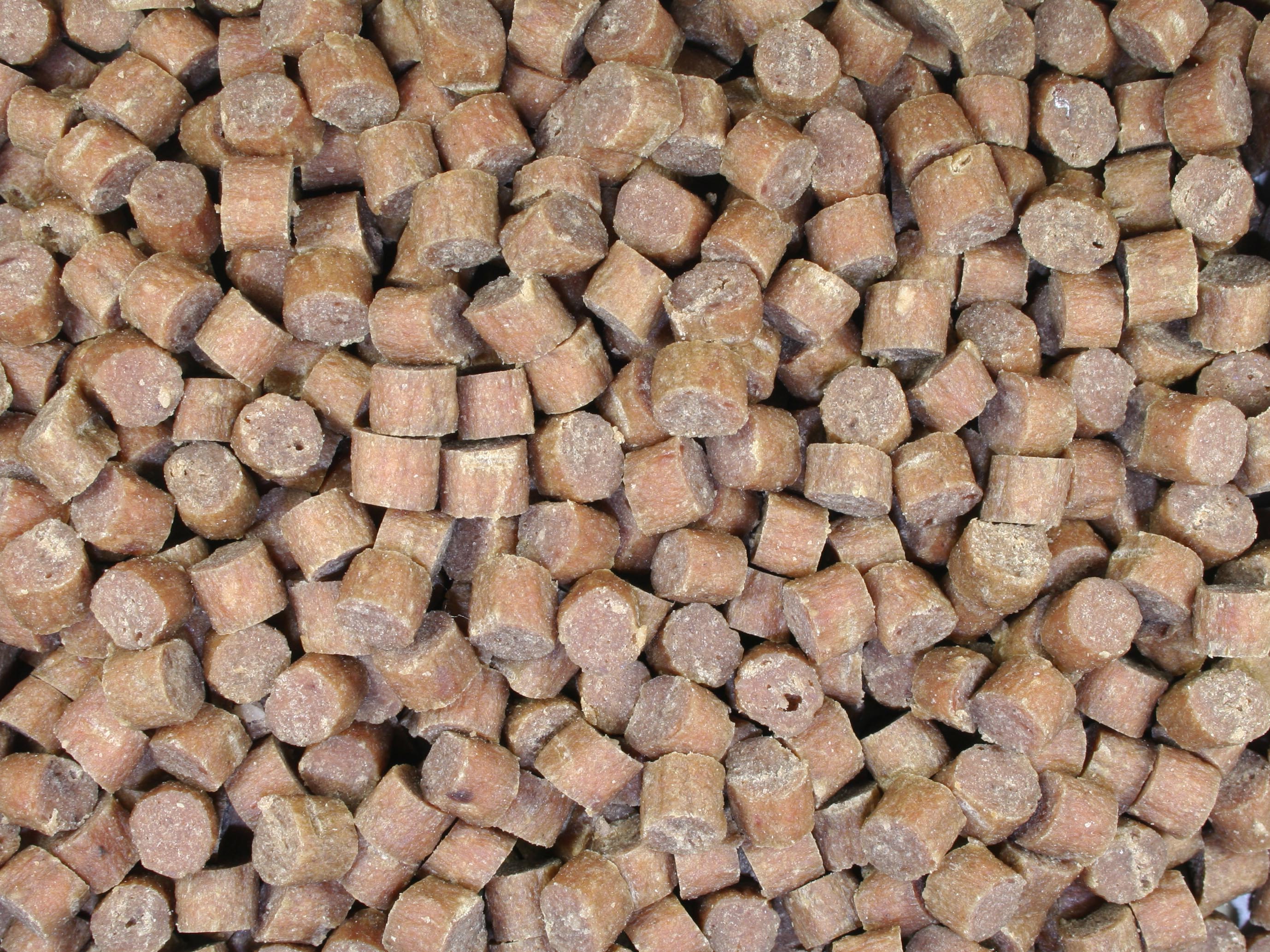 超小型犬用ピュアロイヤルラム（ピュアロイヤル）│ペットフードや