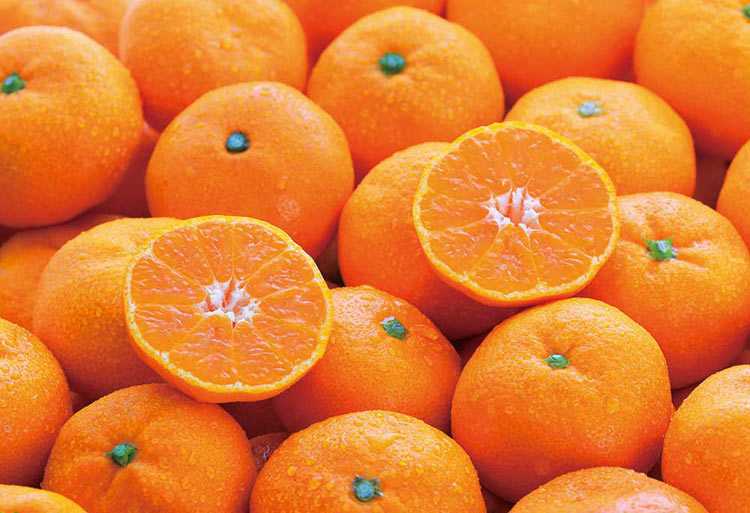 みかん様 ミカン みかんページ ミカン様 ミカン様 蜜柑様 レビュー】ZX