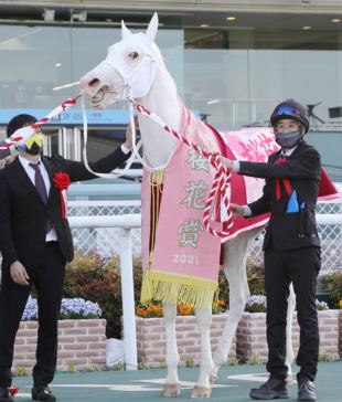 競馬史を塗り替える希少な白毛馬 美しさと強さのアイドルホース・