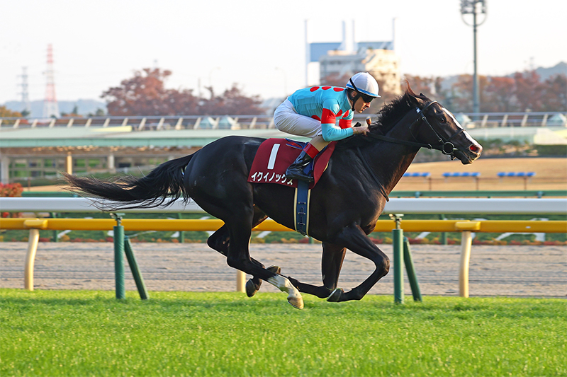 2021年 東京スポーツ杯2歳ステークス JRA