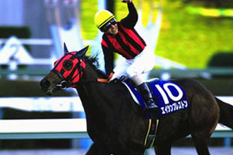 エイシンプレストン 馬券 エイシンプレストン｜名馬メモリアル｜競馬