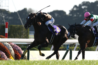 JRAホームページ｜データファイル｜競走成績データ