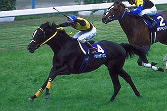 JRAホームページ｜データファイル｜競走成績データ