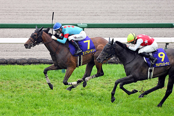 JRA 競馬 馬写真（額入り）冬花 JRA 競馬 馬写真（額入り）冬花