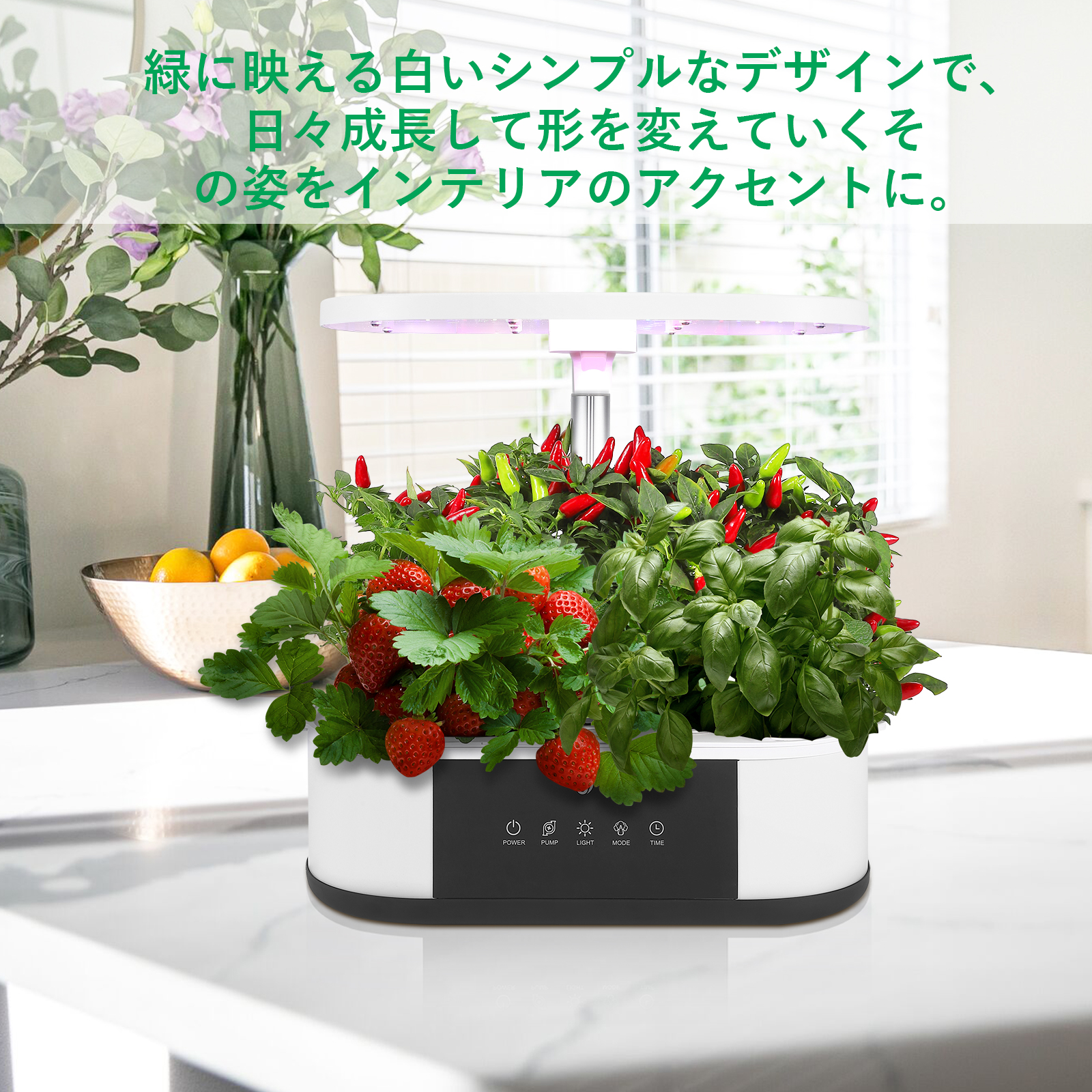 GS1 Mini】 JustSmart 水耕栽培キット 白 液晶パネル タイマー 循環式