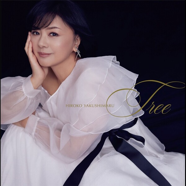 薬師丸ひろ子 ③ ビニール財布 当時物 薬師丸ひろ子 当時物ビニール