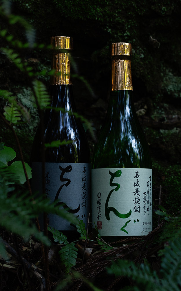 17代永楽善五郎 乾山菊盃 美しい景色 r325 17代永楽善五郎 乾山菊盃