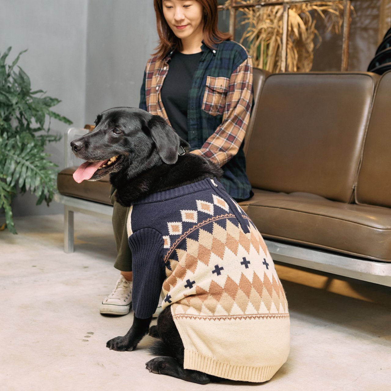 ペットパラダイス』 2025年秋冬から中大型犬向け商品ラインアップを