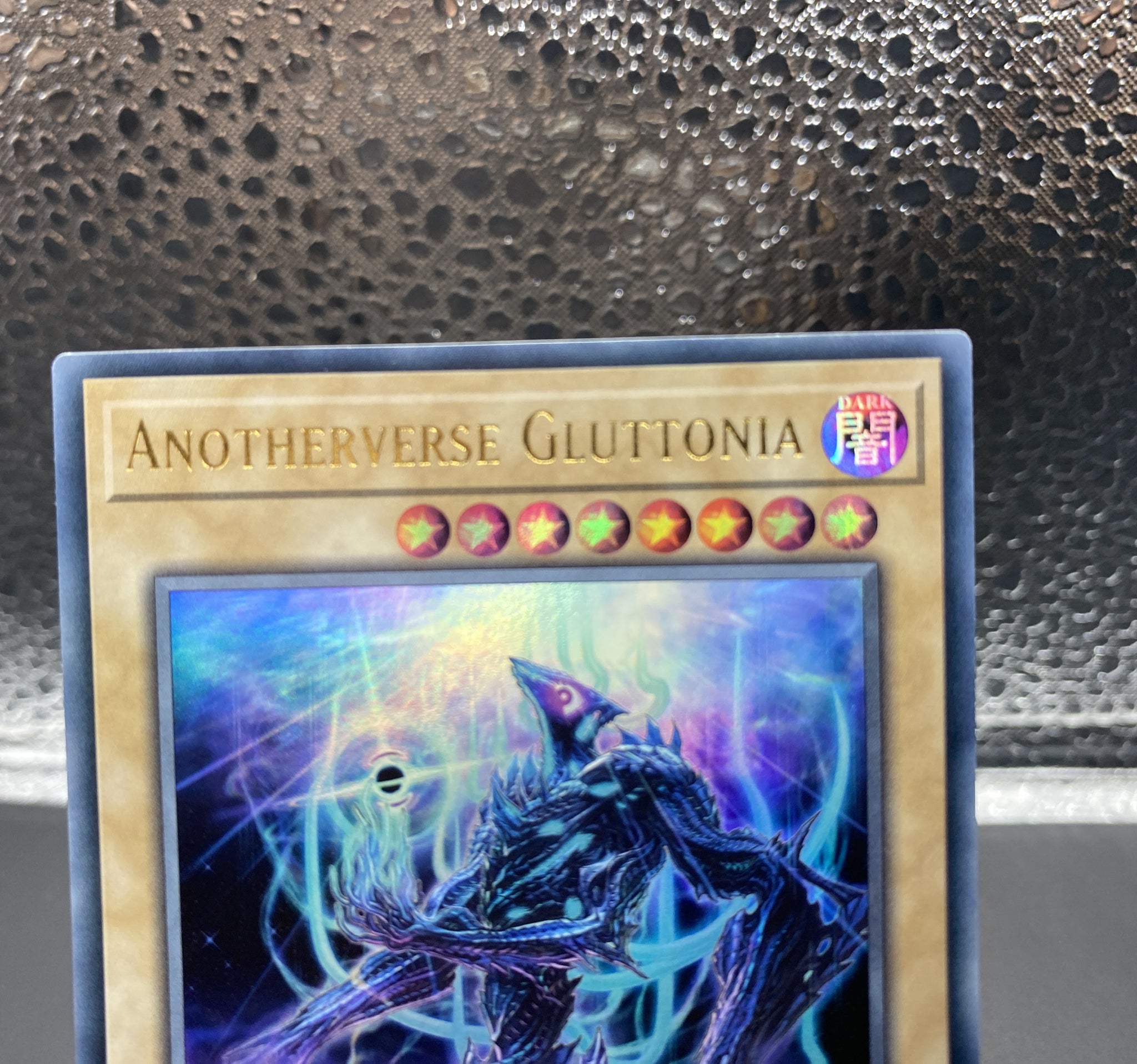 Anotherverse Gluttonia SR 遊戯王 海外版 Anotherverse Gluttonia SR