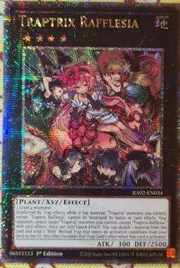 AE版 匿名配送】フィーリア・レギス 妖竜の禁姫 泰亜版 25th クオシク