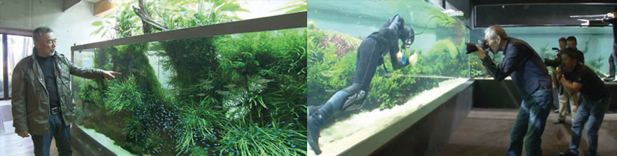 BSN新潟放送｜BSNコンテンツ｜Blu-ray「ガラスの中の夢たち 自然