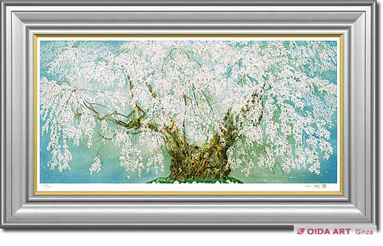 中島千波 【坪井の枝垂櫻】 リトグラフ 中島千波 坪井の枝垂櫻(1)