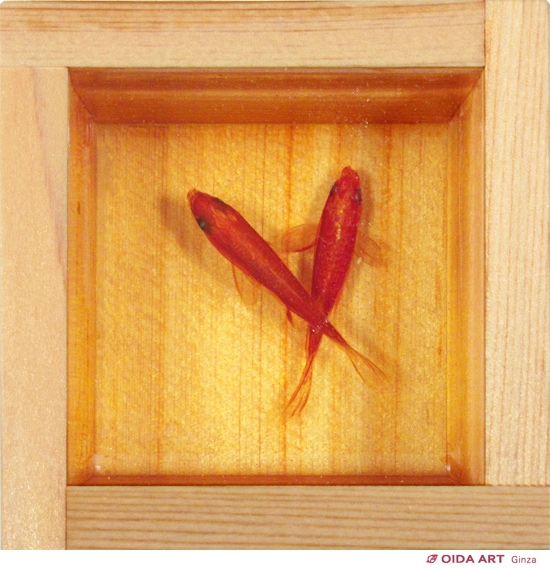 深堀隆介 金魚酒 一合枡 直筆サイン 共箱 2004年 現代アート 真作保証