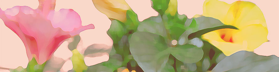 清原啓一 真作「李朝壺の薔薇」 油彩6号 サイン 裏面に題名・署名 格調