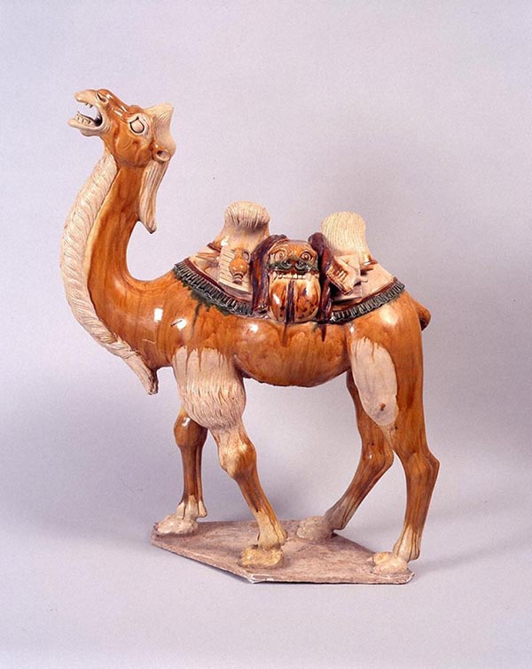 中国古美術・旧蔵の三彩陶器、静かに立つ嘶く駱駝の