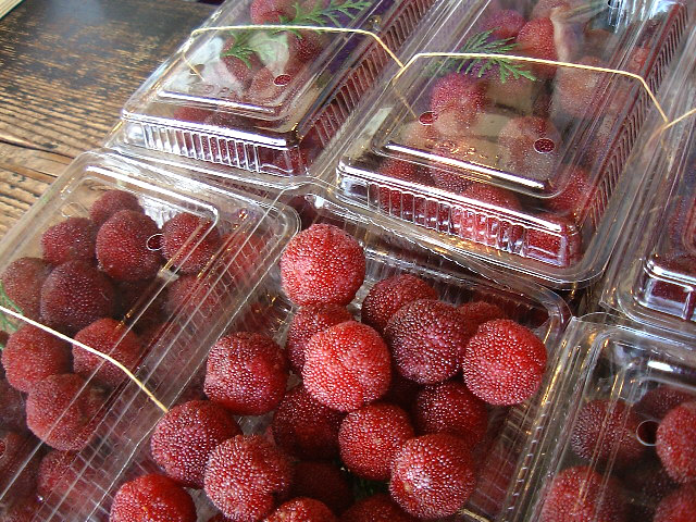 やまもも（山桃）ズイコウ、広東、亀蔵、中山など | オレンジハートの