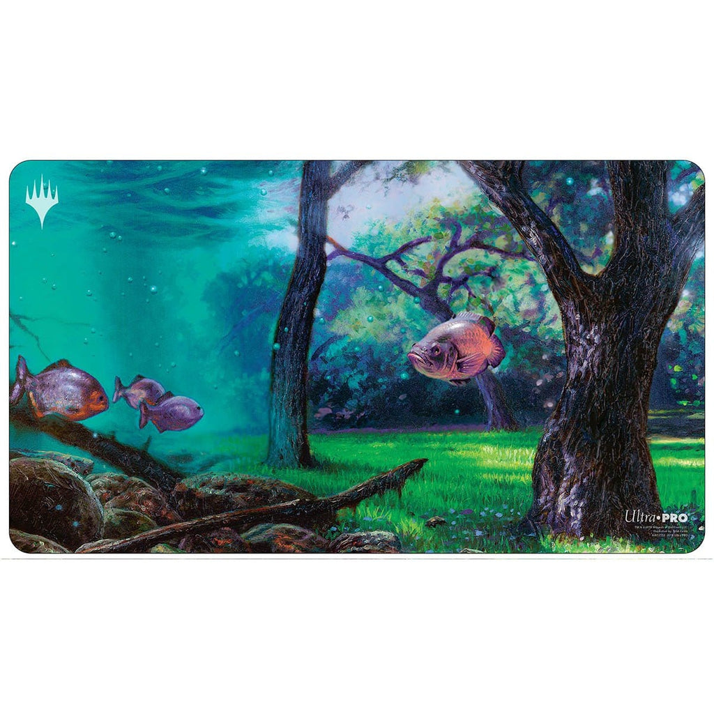 風景の変容 Scapeshift 英語版2枚セット 風景の変容 2枚 風景の変容 2