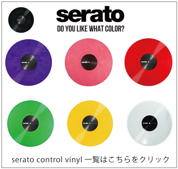 ☆レア！限定販売！12インチ盤2枚組！Serato DJ Pro/DVS用コントロール