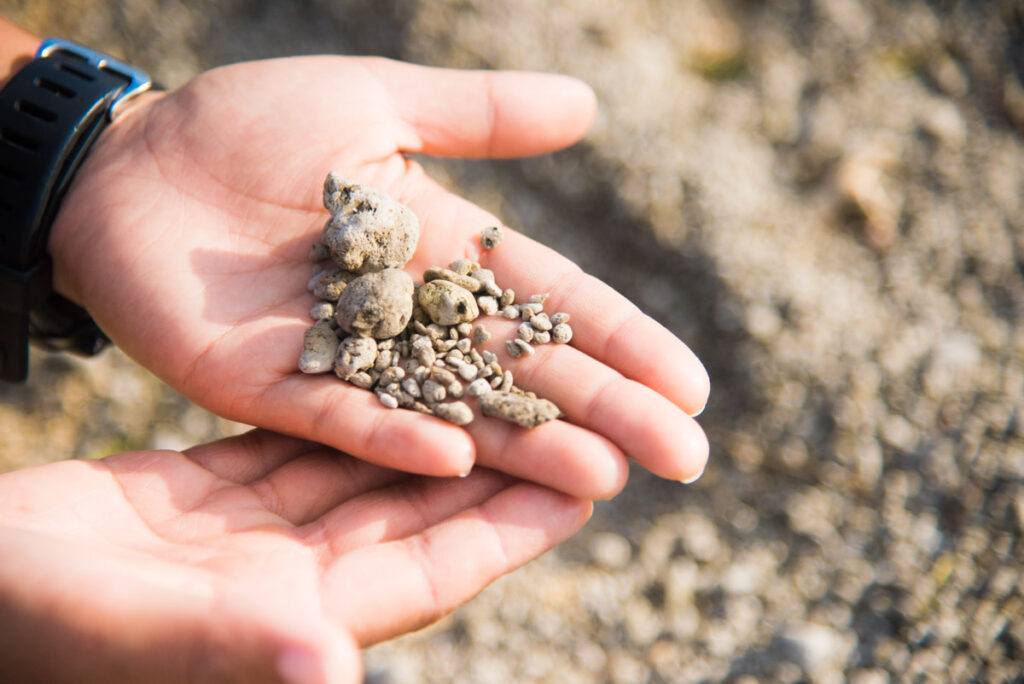 小笠原の噴火で沖縄本島に「軽石」漂着 | ワールドダイビング