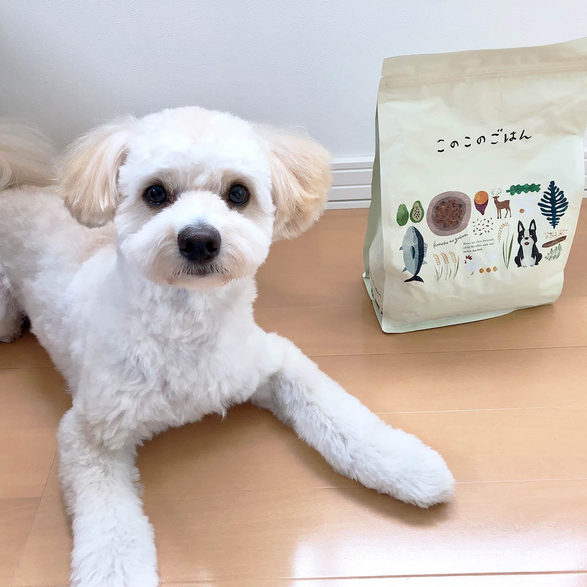 このこのごはんの口コミや評判は？悪評は本当？実際に使用してリアルな