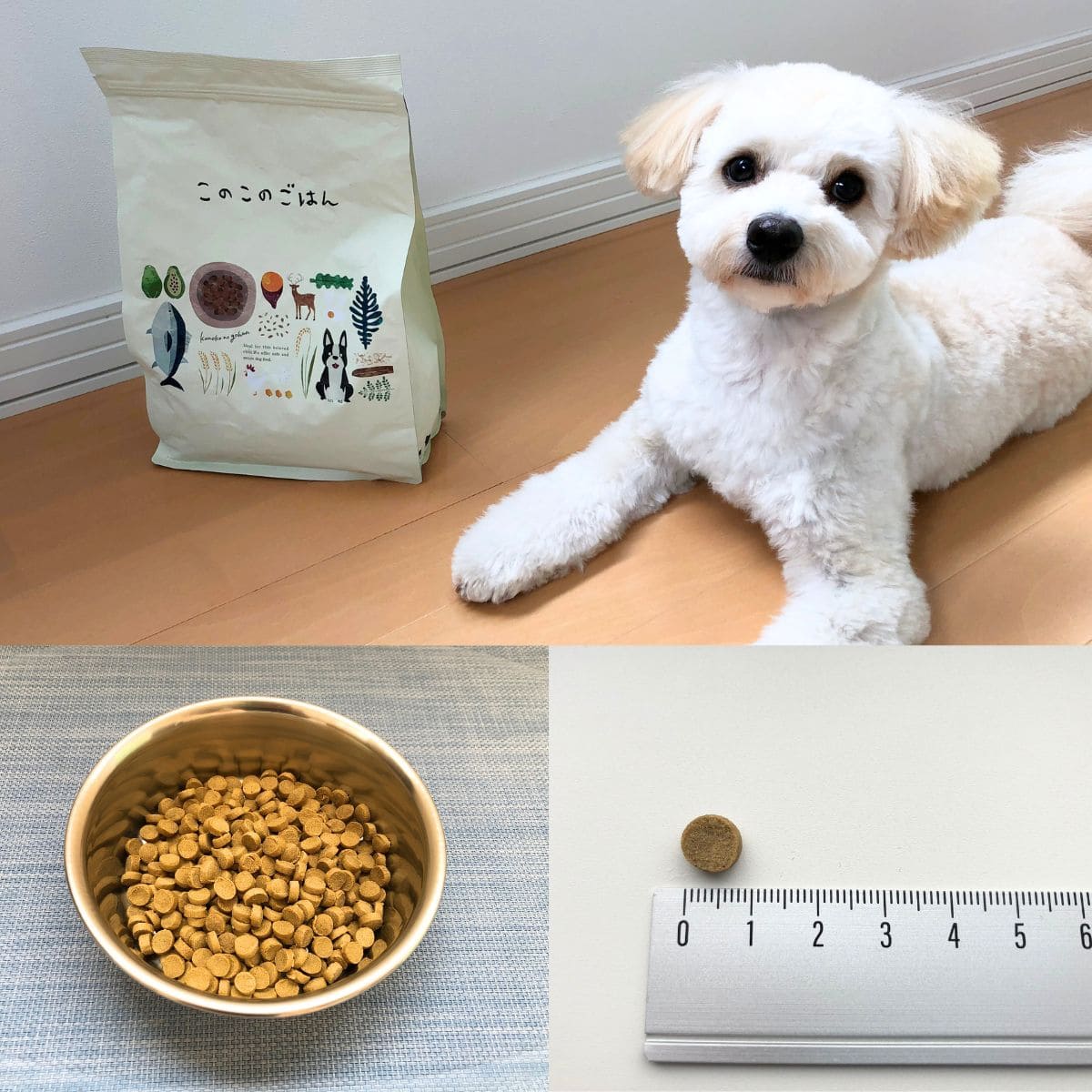 ロイヤルカナン CCN ミニステアライズド 8kg（避妊・去勢犬用 小型犬