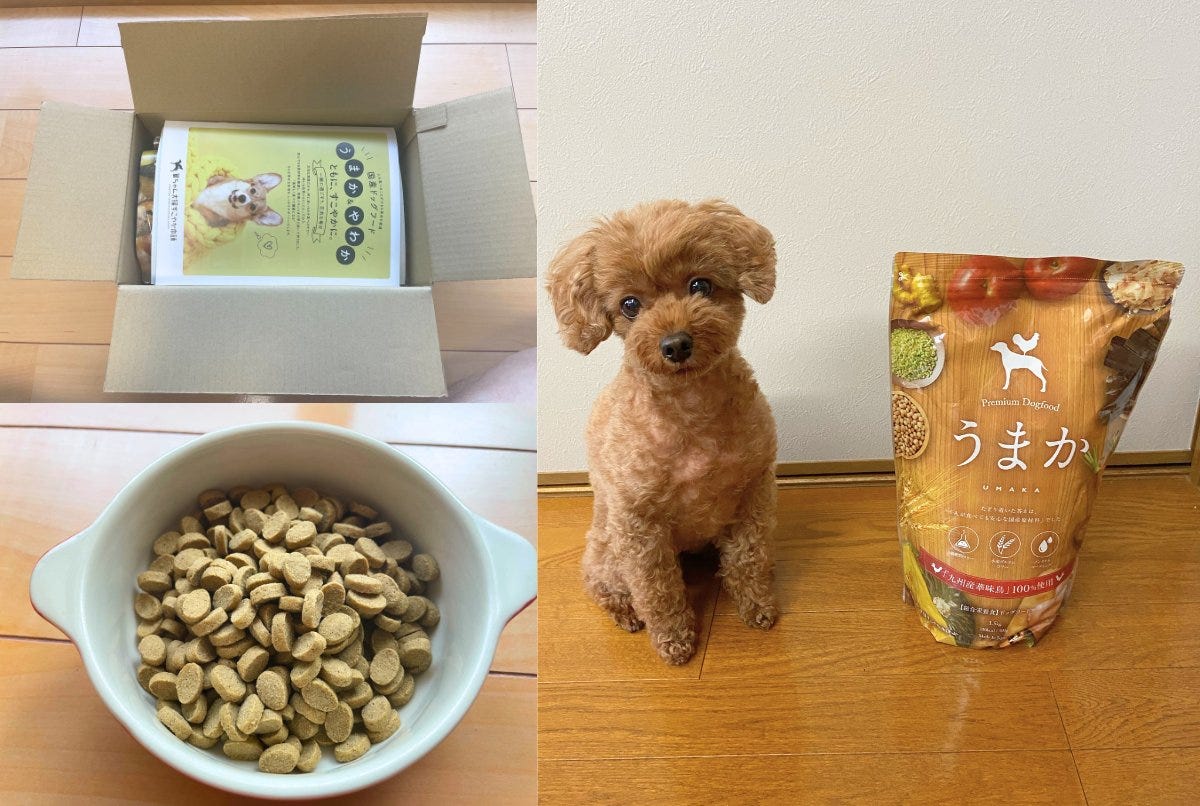 うまかドッグフード 1.5kg×2袋 新品未開封品 新品未開封 うま