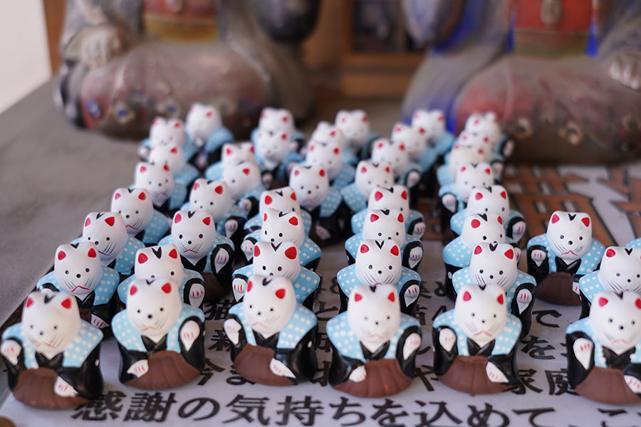 コンプまで24年！？ 大阪でハードすぎる「猫あつめ」 | Lmaga.jp