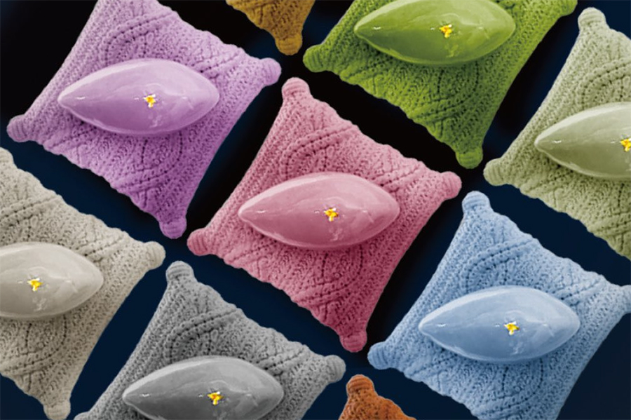 4時間待ちの「幻のモンブラン」3号店、大阪に10月開店へ | Lmaga.jp