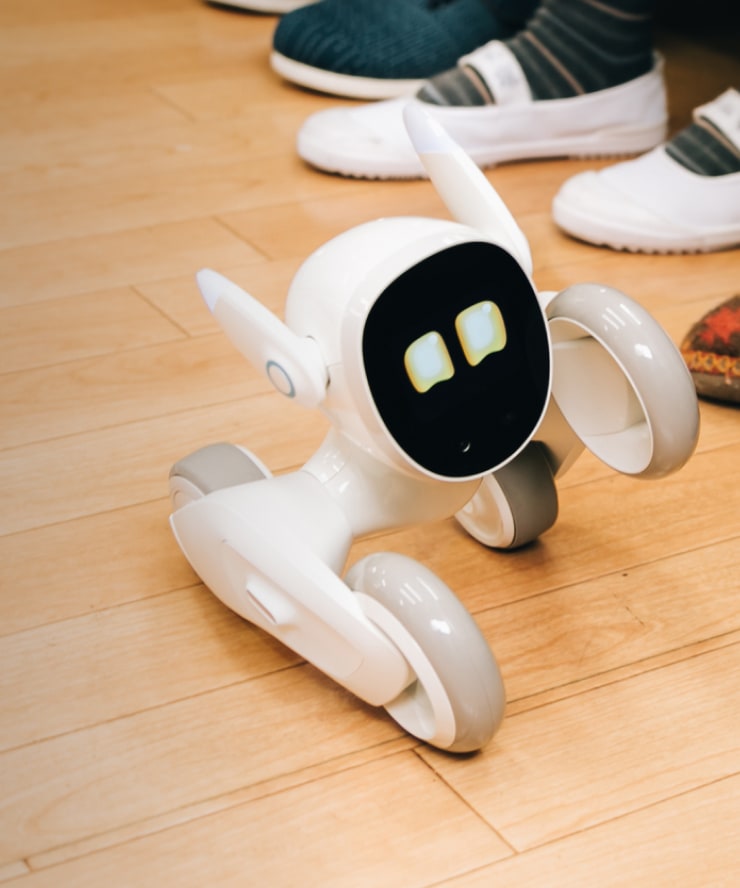 Loona ルーナ ペットロボット 箱あり Loona ルーナ ペットロボット 箱