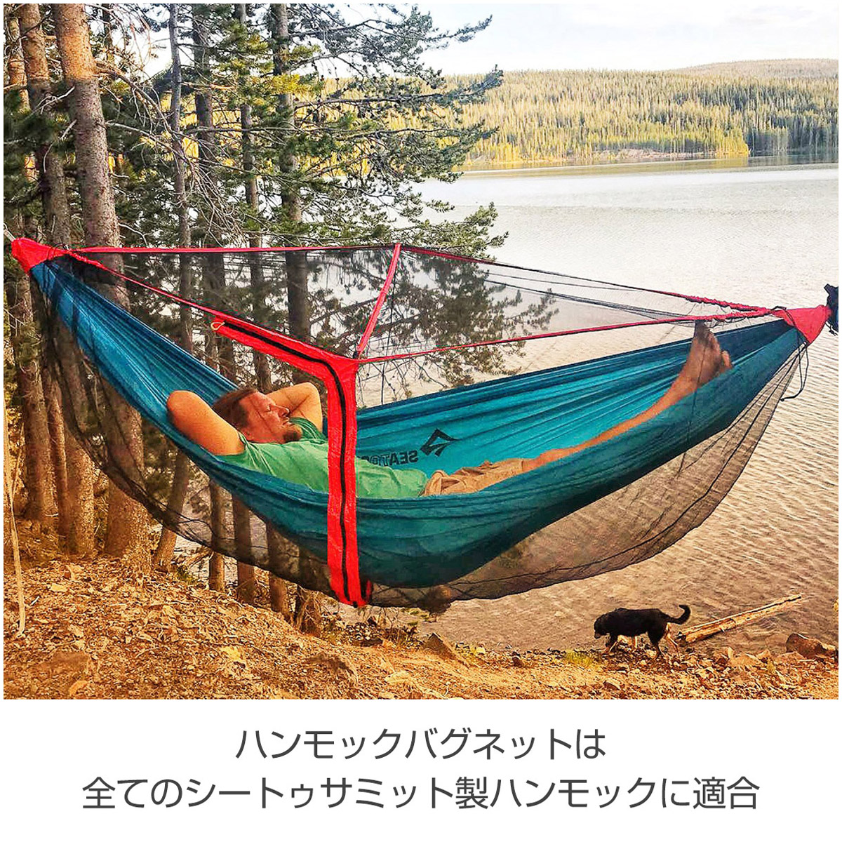 Pokémon Grassy Gardening ツタージャ ハンモック Pokémon Grassy