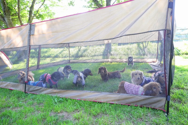 snow peak スノーピーク ペット PT-100ドッグピット ドッグラン