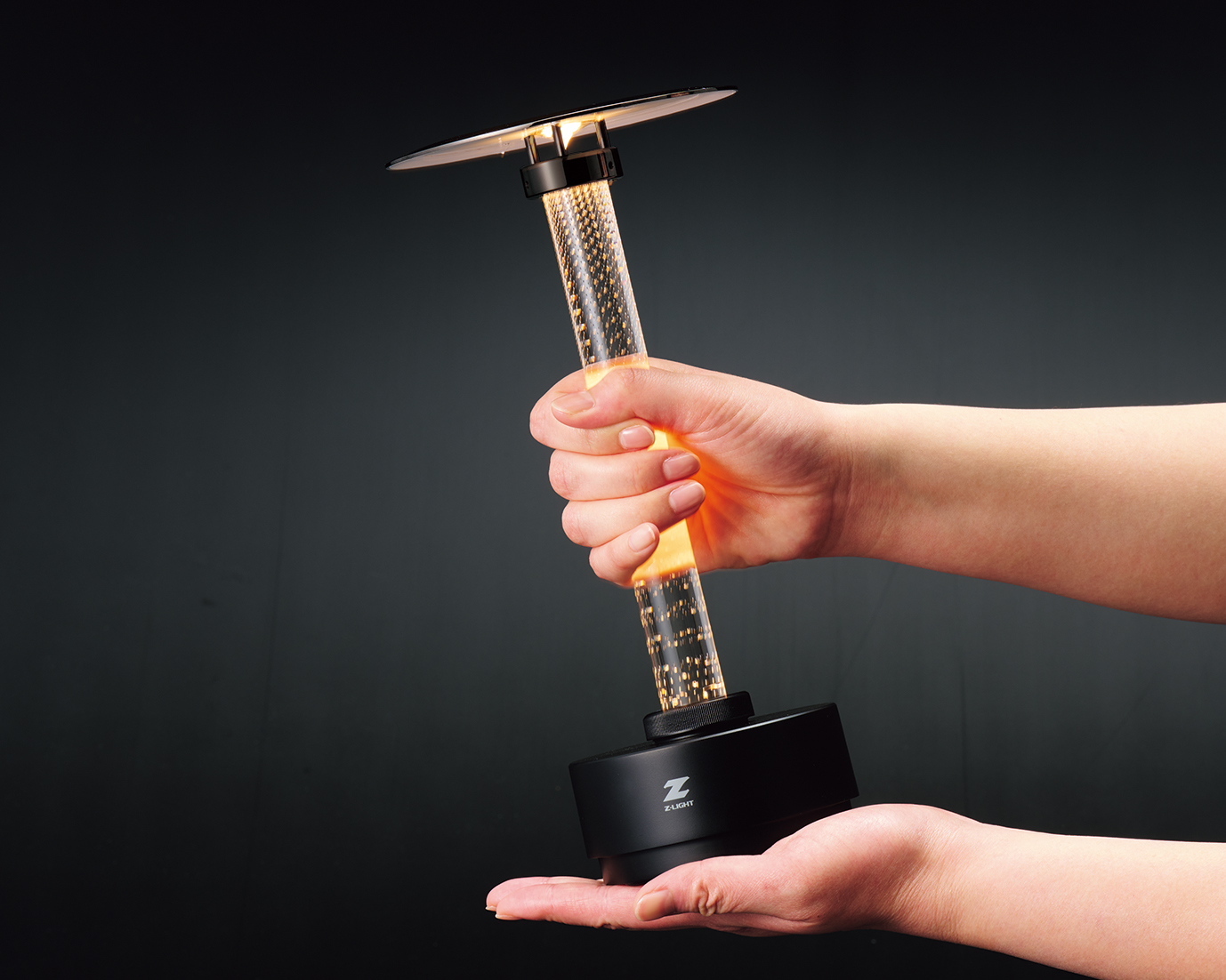 TZ-3 Z-Light（ゼットライト) Full Moon 充電式防雨型スタンドライト 3