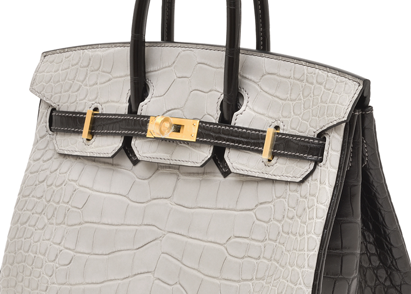 エレガンスを極めた存在感を放つ「プレミアムバーキン6選」 | エルメス