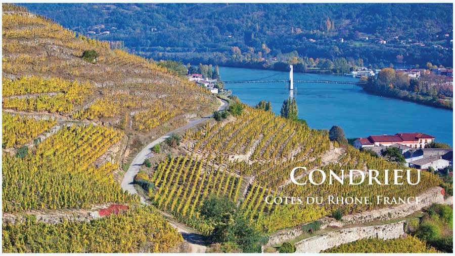 2020 コンドリュー コトーシェリー シャトー・スーシュリー コトー