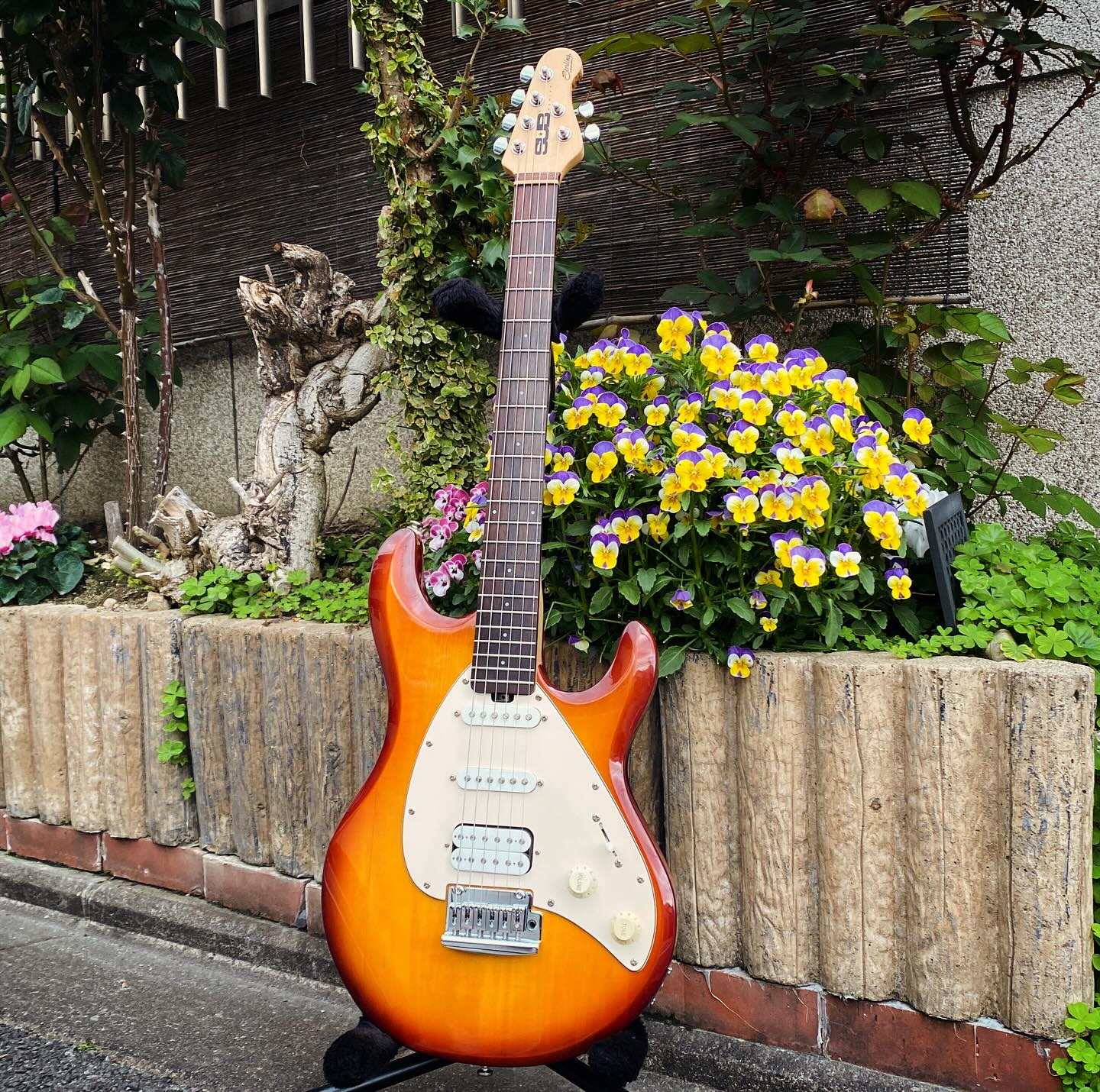 送料込み】SUB Starling by Musicman コイルタップ改！ 送料込み】SUB