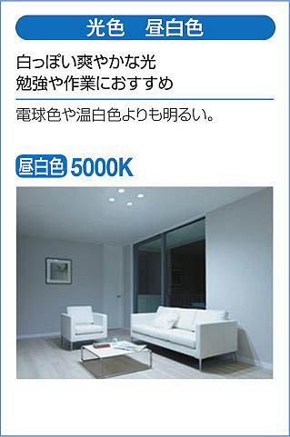 DAIKO 大光電機 ダウンライト(軒下兼用) DDL-5102WW | 商品紹介 | 照明