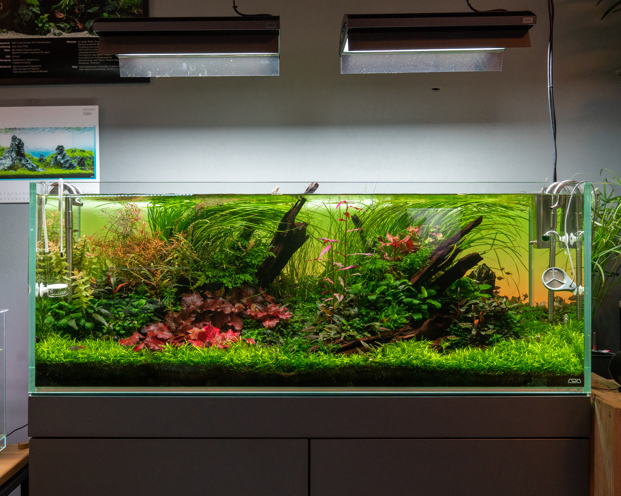 中古使用汚れ有りアクアデザインアマノ ADA アクアスカイ RGB 60