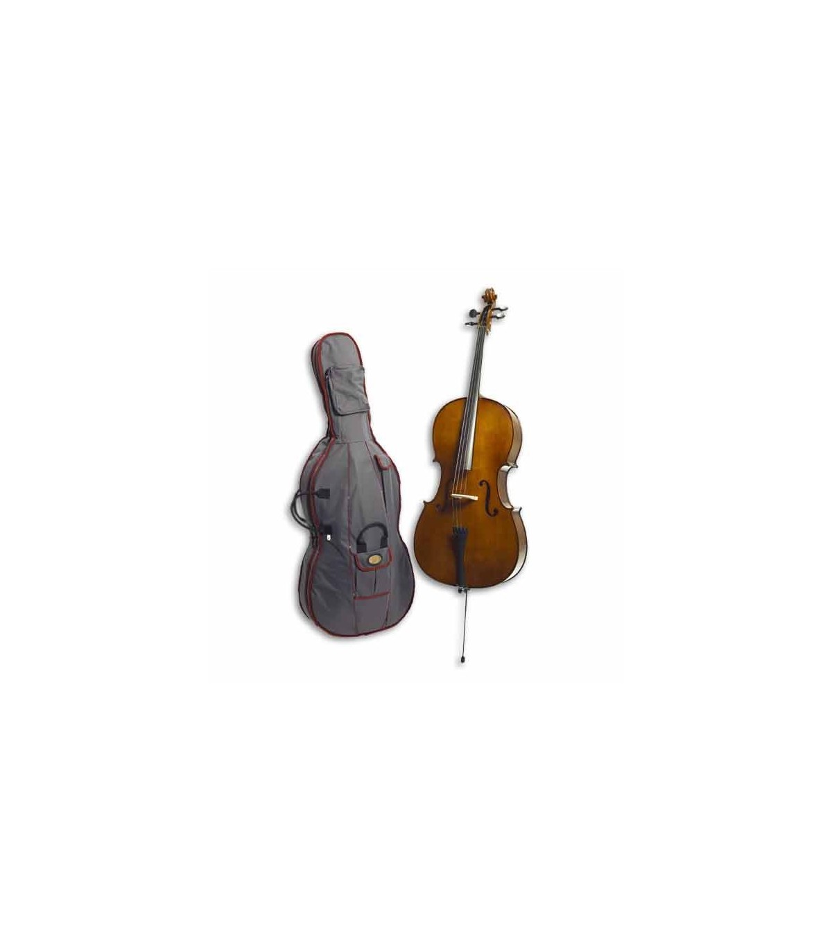 Stentor Student II 4/4 SH | Cello | Salão Musical - Musical Hall