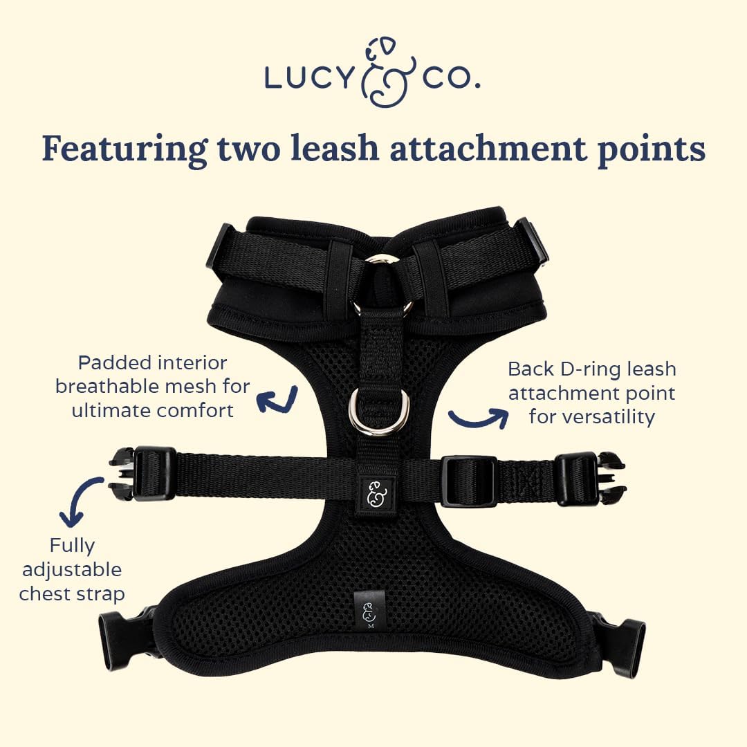 The Midnight Black No-Pull Neoprene Dog Harness | Lucy & Co.