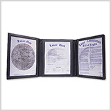 月の土地 カード付ファイルセット｜ルナエンバシージャパン