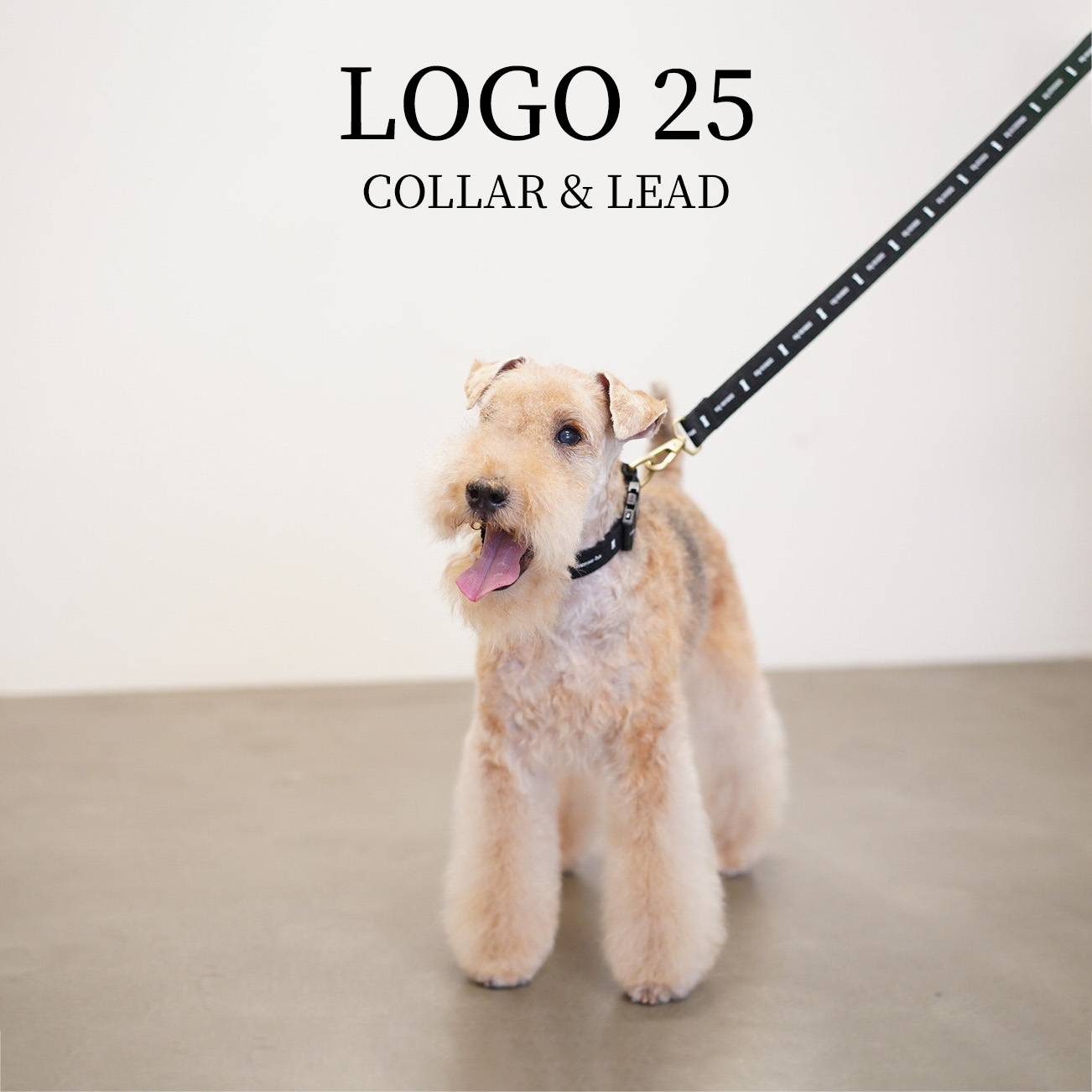 ロゴ25 首輪・リード/ショルダーリードセット【クロスオーダー