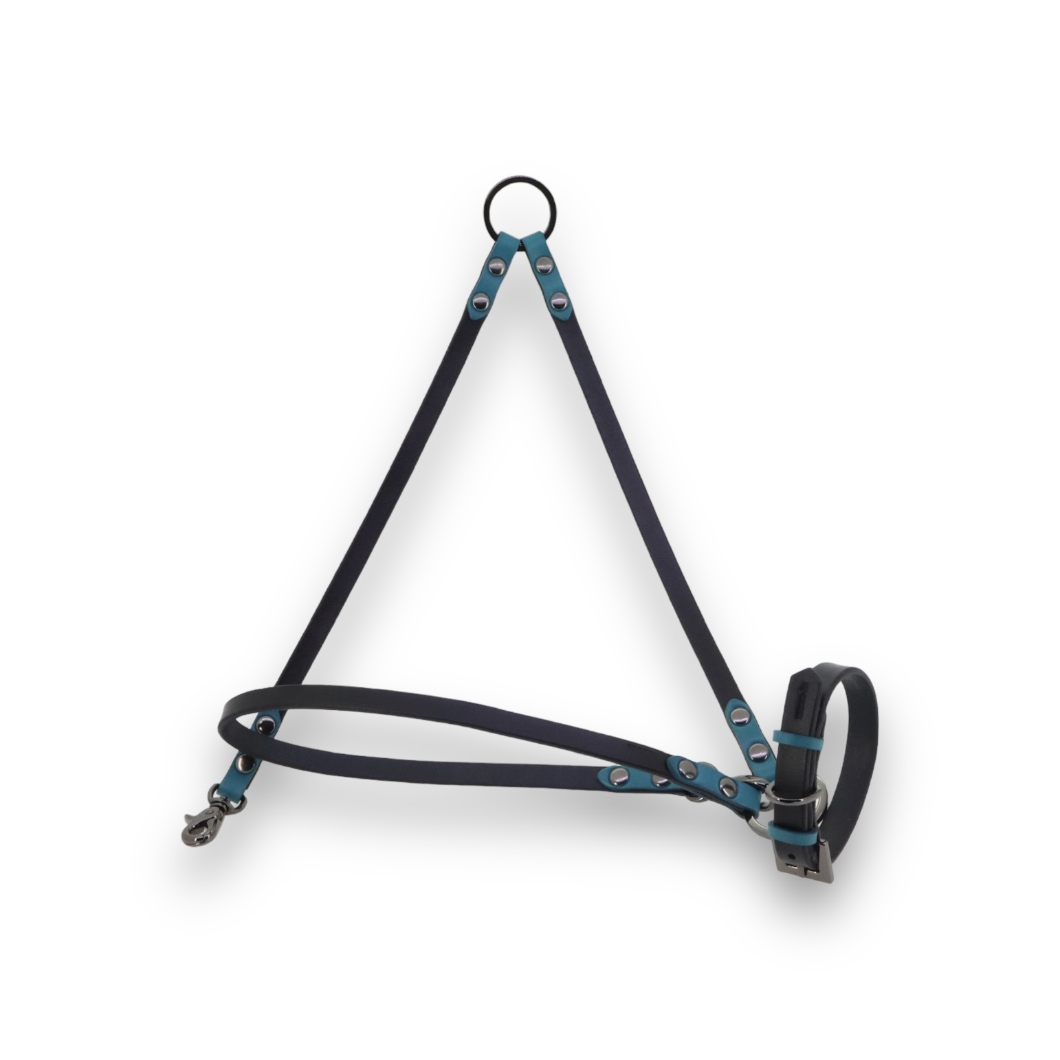 mmsu-ha レザー首輪・リードセット オーダー/THIS IS LEATHER SET