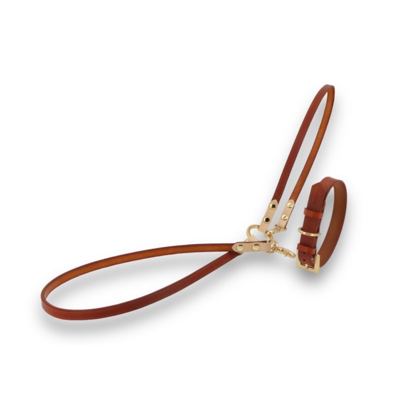 mmsu-ha レザー首輪・リードセット オーダー/THIS IS LEATHER SET